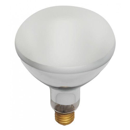 BR40 Flood Pool Light Bulb 120V 400W Medium E26 Frosted 4000 Lumens - Picture 3 of 5