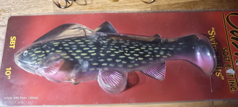 Castaic Swim Bait 25 Cm Angeln Hecht Wels Raubfisch - Bild 2 von 3