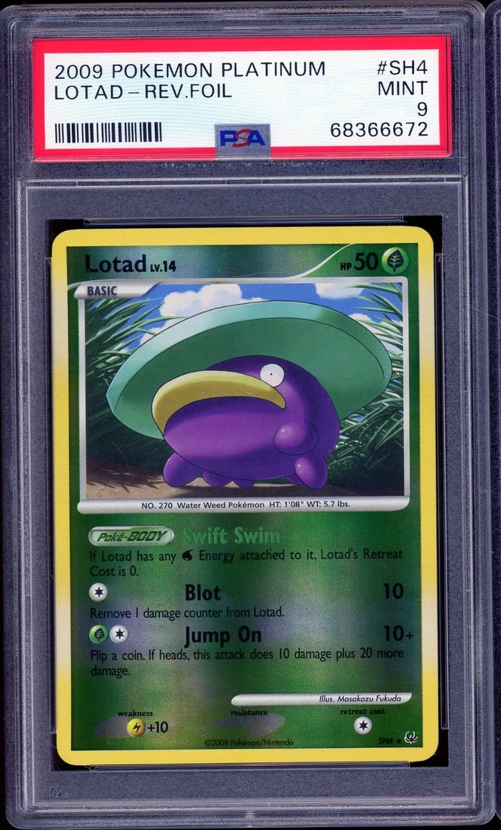 Lotad