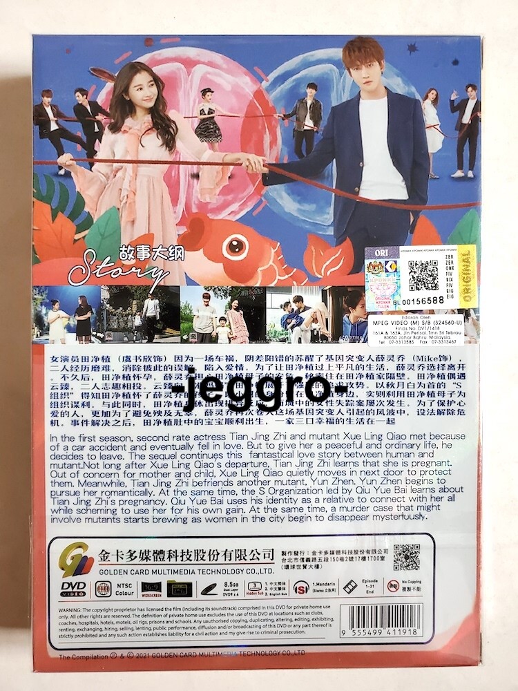 恋は戦い!LOVE&amp;FIGHT 　DVD box 恋は戦い!LOVE&FIGHT DVD box Amazon.co.jp: 恋は戦い