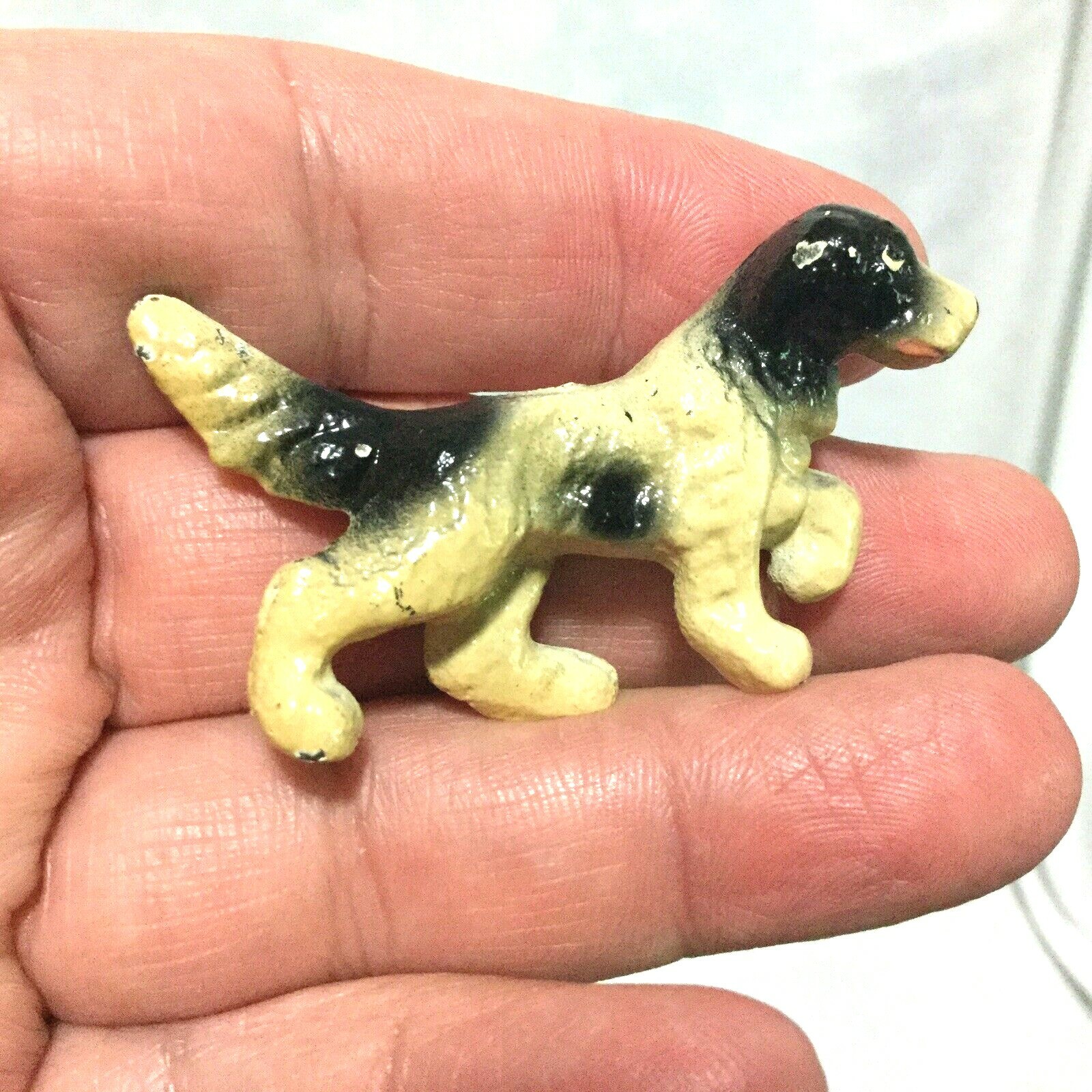 Picture 4 of 12