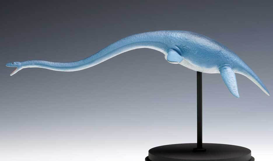 Kit Modello 1/35 Futaba Suzuki Ryu (OG-031) – The Wave, Nuovo - Foto 4