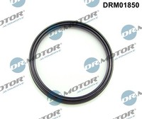 Dr.Motor Automotive Dichtring, Ladeluftschlauch DRM01850 FüR BMW MERCEDES-BENZ