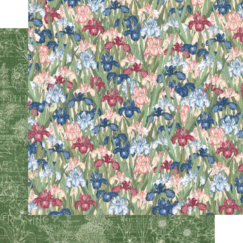 GRAPHIC 45 "BLOSSOM" 12X12 PAPER PACK + STICKERS FLORALS RETIRED SCRAPJACK'S PL - Picture 9 of 10