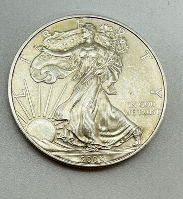 1oz ONE OUNCE .999 SILVER 2009 UNITED STATES AMERICAN SILVER EAGLE 31.1g #10