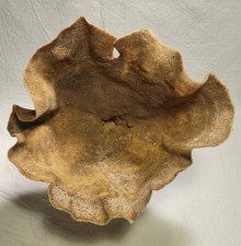 Natural Sea Sponge, Cup Sponge.
