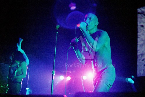 24 TOOL PHOTO SET 1996 ANIMA TOUR 4x6 ORIGINAL MAYNARD JAMES KEENAN DALLAS TX - Picture 14 of 24