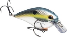 Strike King Kvd Square Bill 1.5 Silent Crankbaits