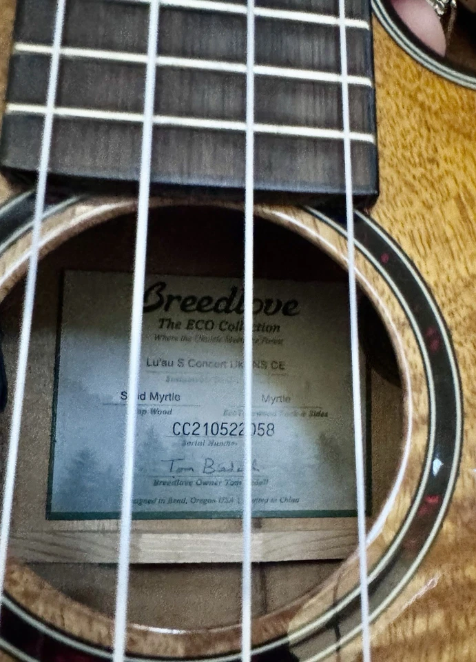 Breedlove Lu’au S Concert Uke NS CE Myrtle w/Ameritage Silver Carrying Case - Image 3 of 4