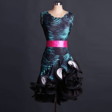 NEW Latin Ballroom Dance Dress Modern Salsa Waltz Standard Long Dress F189