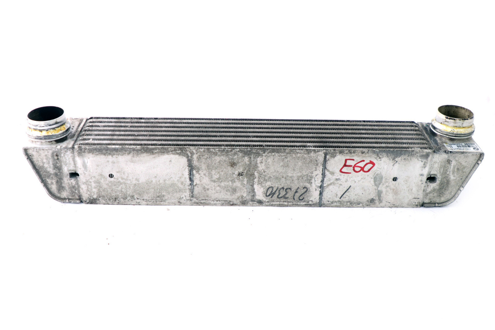 アリシアスタン alexia stam Liv Welcome Lei