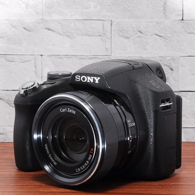 Sony Cyber-shot DSC-HX100V Compact Digital Camera with Accessories Excellent