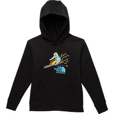 NWT The North Face Boys' Camp Fleece Pullover Hoodie, Ski Graphic Black, Size XS