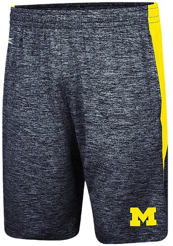 Michigan Wolverines Swim Trunks Large L Mens Lined Mesh Floral