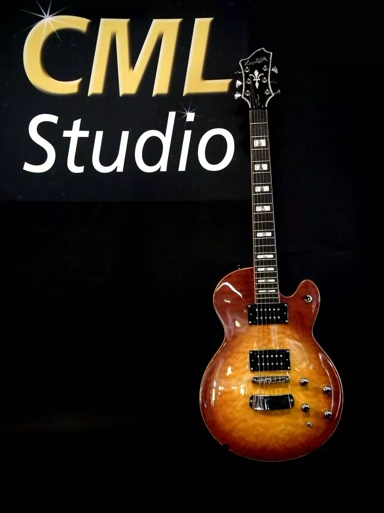 Hagstrom select super swede online