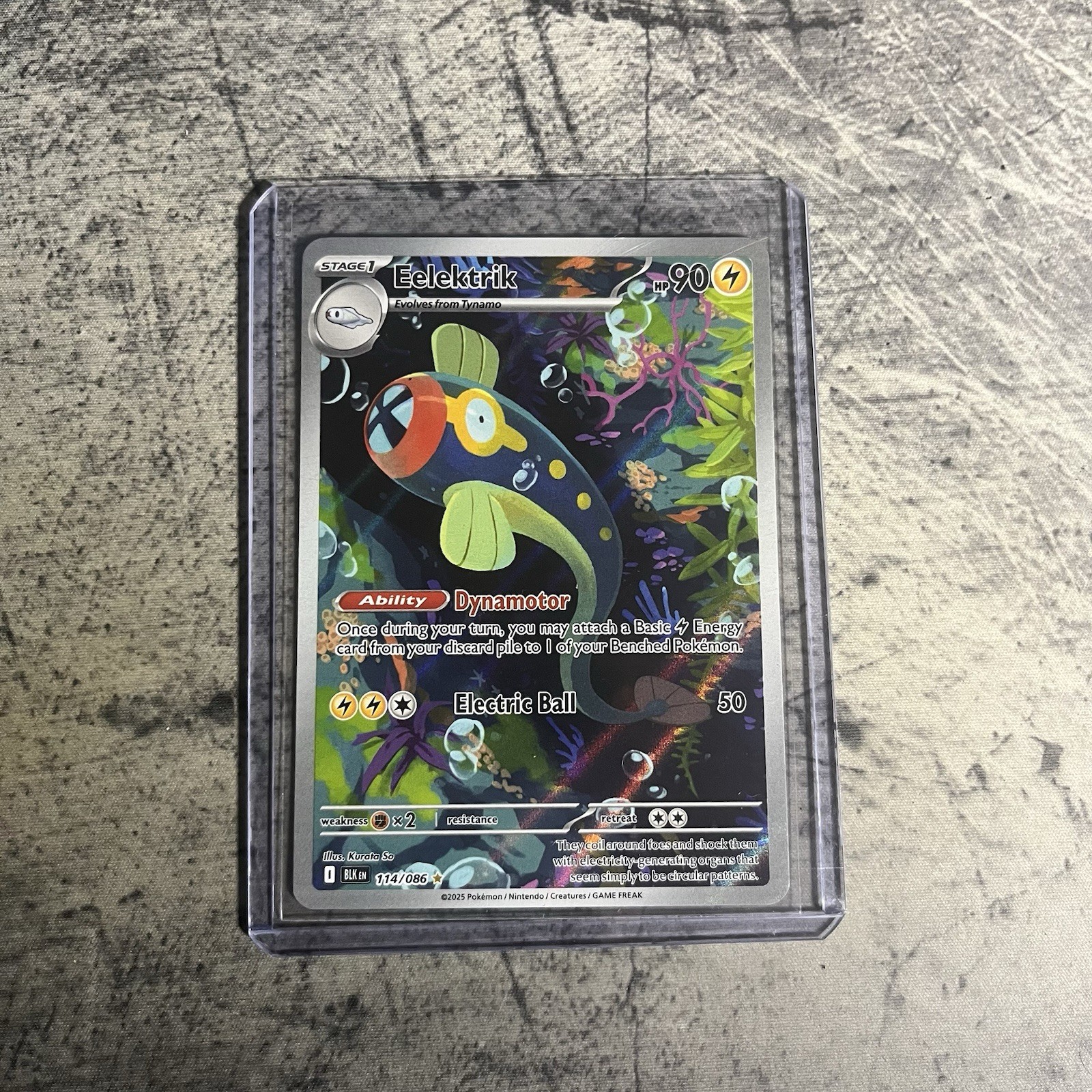 Pokemon Eelektrik TCG Black Bolt IR Illustration Rare Card 114/086
