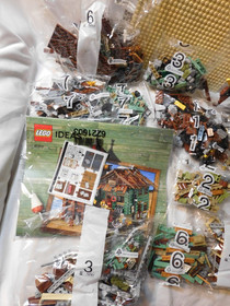 LEGO Ideas Old Fishing Store 21310 Retired Set