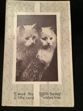 Vintage postcard White Cats Kittens Fondest Wishes antique