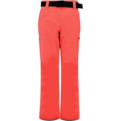 Dare 2b Women's ski pants snow pants winter pants snowboard, Stand for II, Pink,