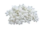 25 PCS White Clay Jasmine Pikake Flower for Jewelry Making, Hair Accessories