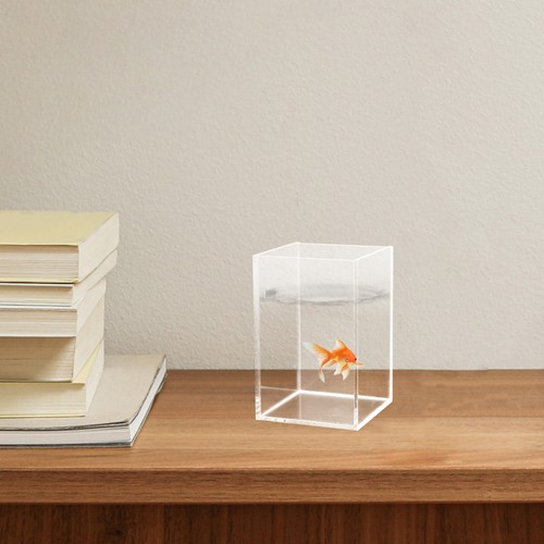2 PEZZI Scrivania Pesciera Ufficio Plastica Trasparente Piccolo Acrilico Betta Decor - Foto 7 di 12