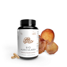 Pilze Wohlrab | Bio Auricularia Pulver Kapseln | 100 Stück | Bio-Qualität