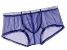 Set of 4 Men's Sexy Sheer, Pouch Underwear — photo 2