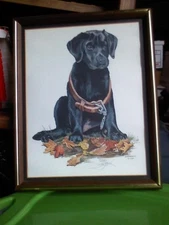 VINTAGE Louis DePaolis Black Lab Puppy framed under glass