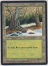 Forest (Gnarled) ~ Heavily Played Ice Age MTG Magic UltimateMTG Land Card