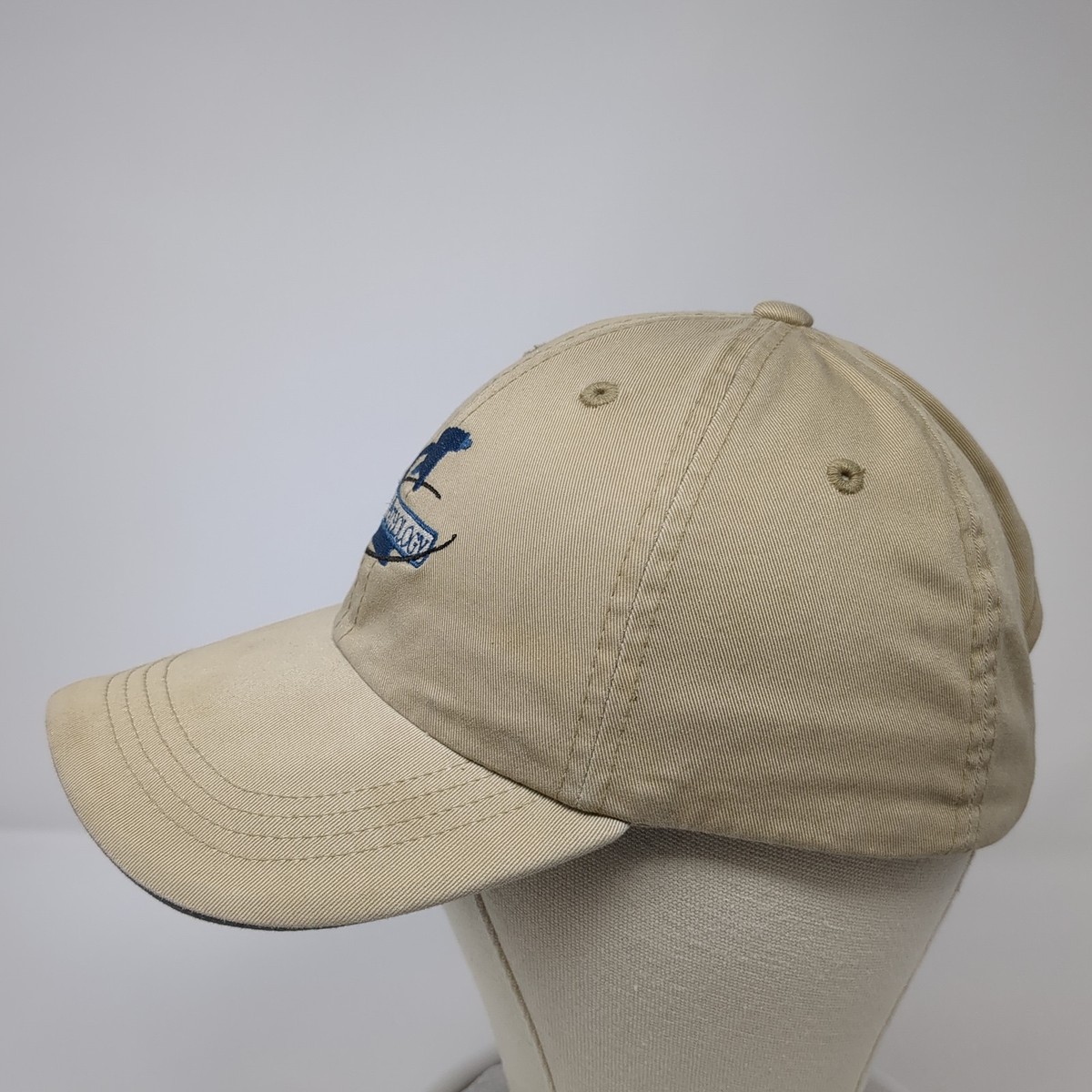 Boise Pathology Strapback Hat Beige One Size Embroidered Port Authority View 3