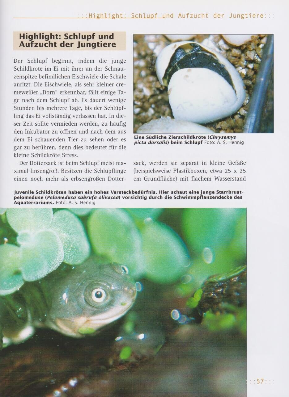 Thumbnail - Haltung Von Wasserschildkröten Andreas S. Hennig