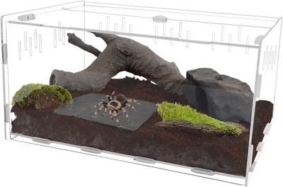 Reptile Terrarium, Tarantula Enclosure, 16'' X 11'' X 6'' Acrylic Large Feeding Tar
