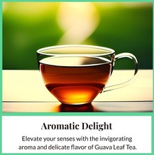 50 Guava Leaves Tea Bags, Te de Hojas De Guayaba, Diabetic Herbal Tea