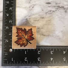 Rubber Stamp Maple Leaf Wood Mounted Stamp Stampcraft Fall Autumn 440D45