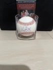 Vinnie Pasquantino Signed Autographed Official Major League Baseball OMLB JSA