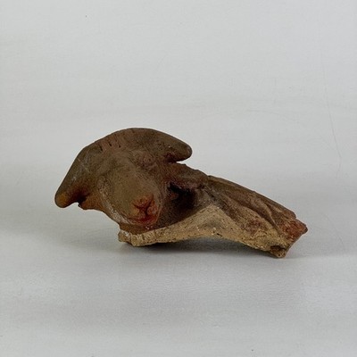 Vintage Broken Off & Salvaged Terracotta Head of A Ram, Sculptural Decor