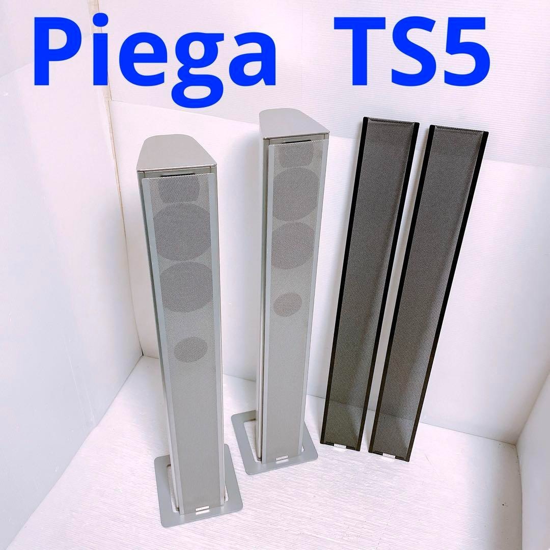 Piega ピエガ TS5 Piega TS5 Swiss-made tallboy speaker | eBay