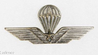 Post WW2 Italian Italy Jump Parachute Wings Badge Pin. Small CB W/ Star F555