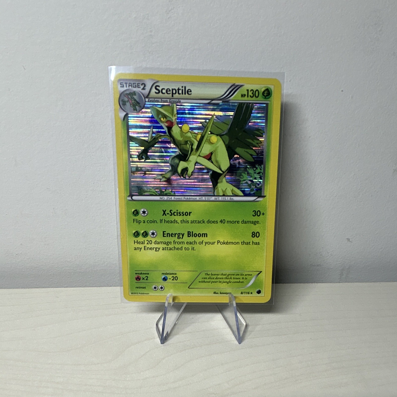 Sceptile 8/116 Plasma Freeze Holo Rare Pokémon TCG English 2013