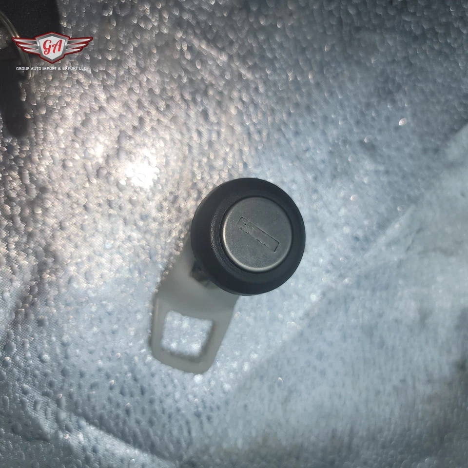 Kit de cerradura de puerta Borg Warner DLK52 #216 Foto 2 de 4