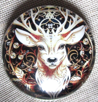 LRG GLASS DOME PICTURE BUTTON = BEAUTIFUL WHITE QUILLED DEER  UNUSUAL BKGND 30mm