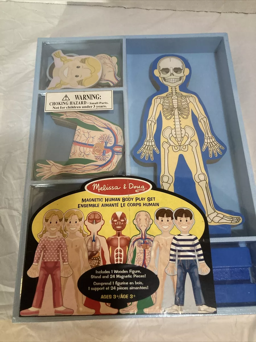 Melissa and doug human anatomy new arrivals