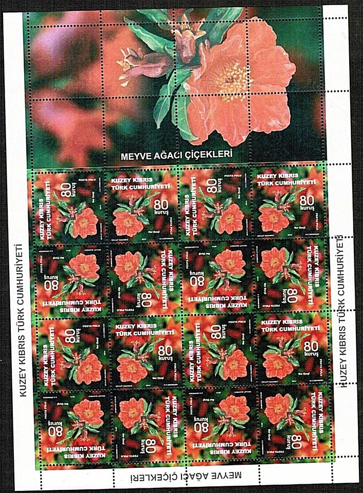 SIN MONTAR COMO NUEVO 2014 ÁRBOL FRUTAL FLORES CONJUNTO HOJAS TURCO CHIPRIOTA Foto 2 de 4