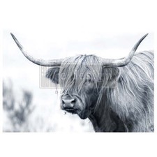 Serenade of Shaggy Highland Cow A1 Fiber Decoupage Redesign with Prima