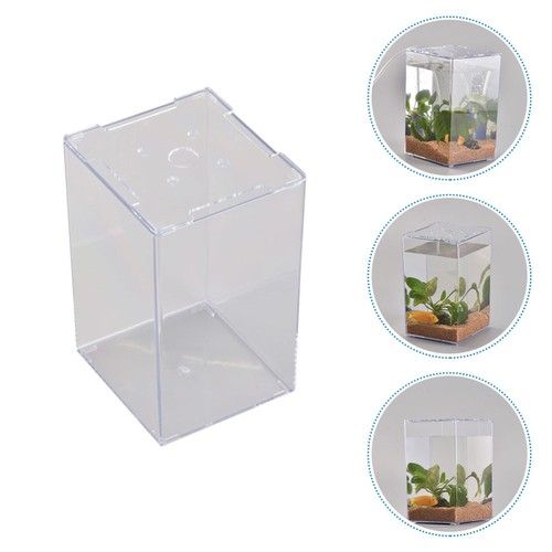 2er Pack Thai Aquarium Mini Tragbar Miniatur Set Flach Aquarium - Bild 6 von 12