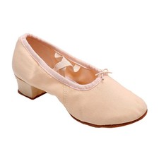 1 paio di scarpe da ballo da ballo da ballo a basso femminile