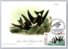 Canada 2003 John James Audubon FDC Maxi Card w/Pictorial Cancel Leach's Storm-pe
