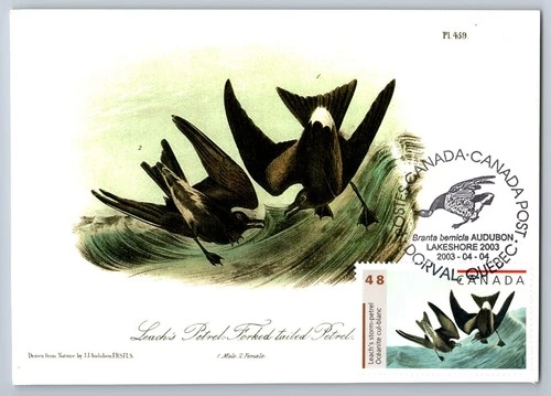 Canada 2003 John James Audubon FDC Maxi Card w/Pictorial Cancel Leach's Storm-pe