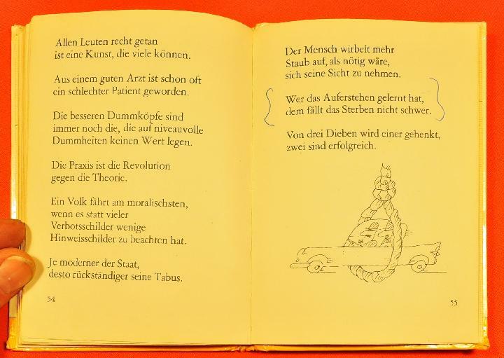 Bild 7 von 9