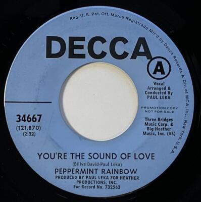 The Peppermint Rainbow You're The Sound of Love 45 NM Decca Sunshine Pop (1969)